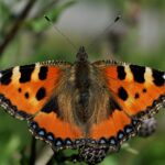 Bestyrelsens årsberetnig 2025